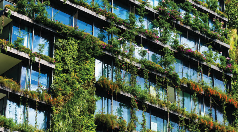 Building with plants on it