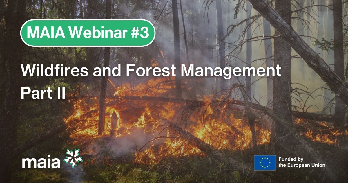 Wildfires and Forest Management Part II