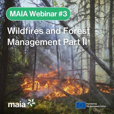 Wildfires and Forest Management Part II