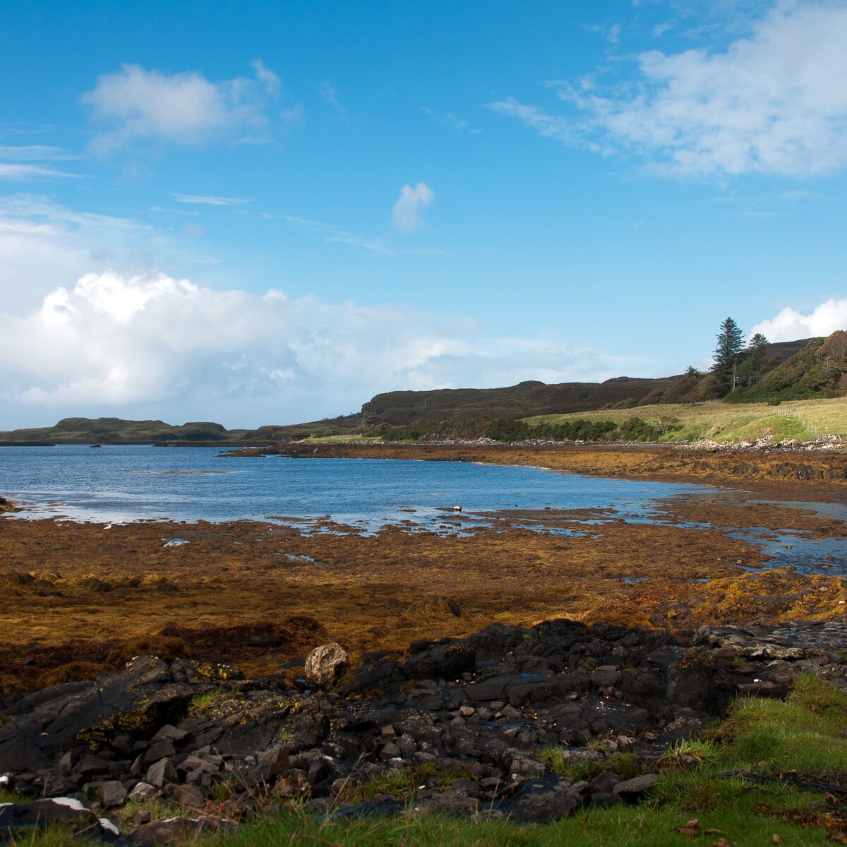 Seaside landscape