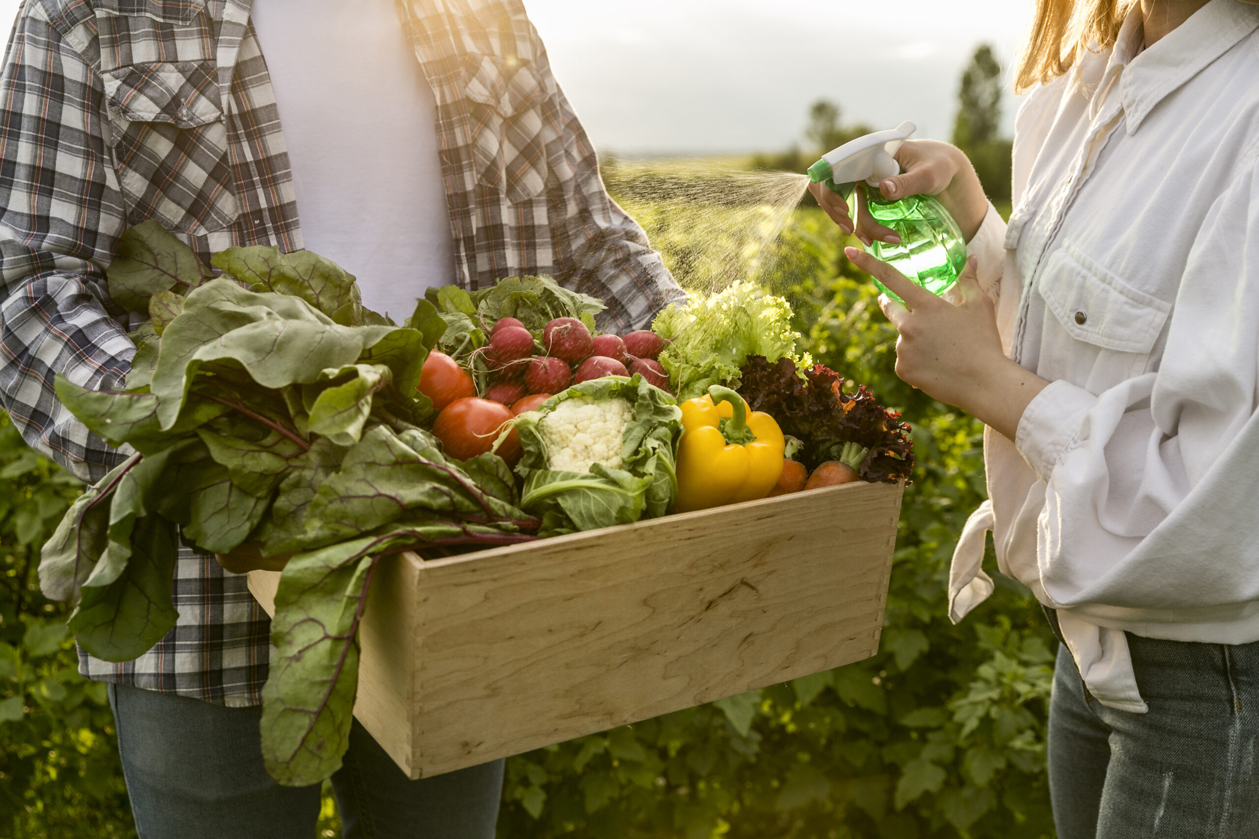 basket of vegetables held by a person