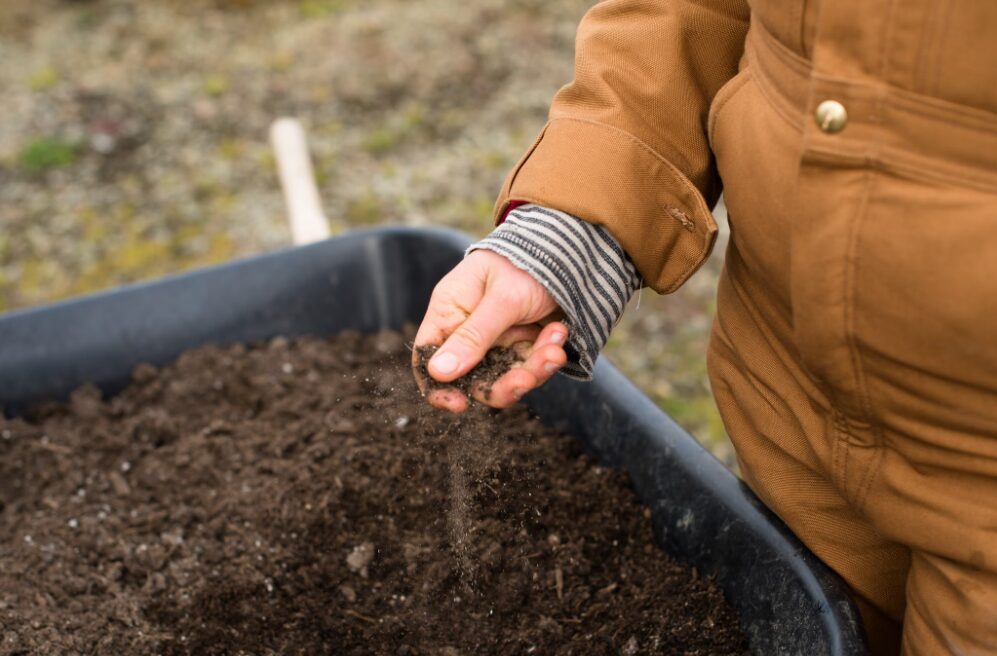 Hand trickling soil into container