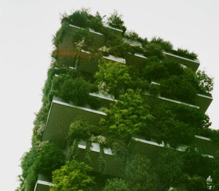 Building with plants